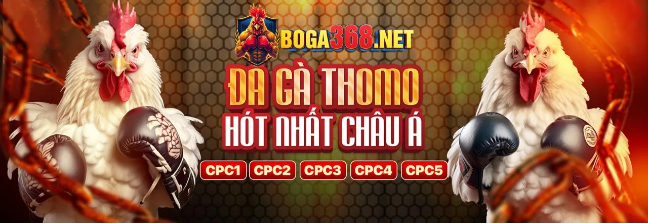 Đá Gà Trực Tuyến MCW66